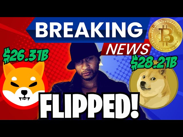 Shiba Inu est à moins de 2 milliards de dollars de retourner à nouveau Dogecoin ! 🤯Un monstrueux rallye à 300% ! #SHIB