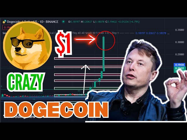 Dogecoin à 0,4 $ ? Les baleines et les ETF alimentent la flambée des prix du DOGE ! Analyse du prix du Doge