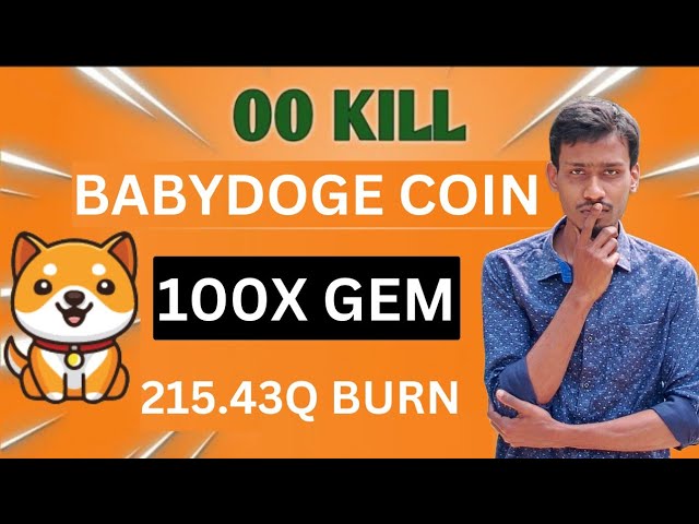 寶貝狗狗幣今日新聞 | 215.43Q 燒錄 | BabyDoge 硬幣 100x 寶石 |幣安上線