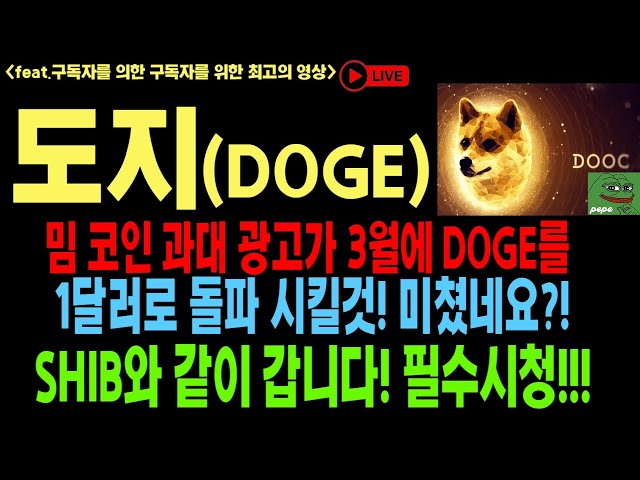 狗狗幣 Doge DOGE SHIB 狗狗幣展望 Doge Hojae Elon Musk 硬幣展望 比特幣 以太幣 狗狗幣