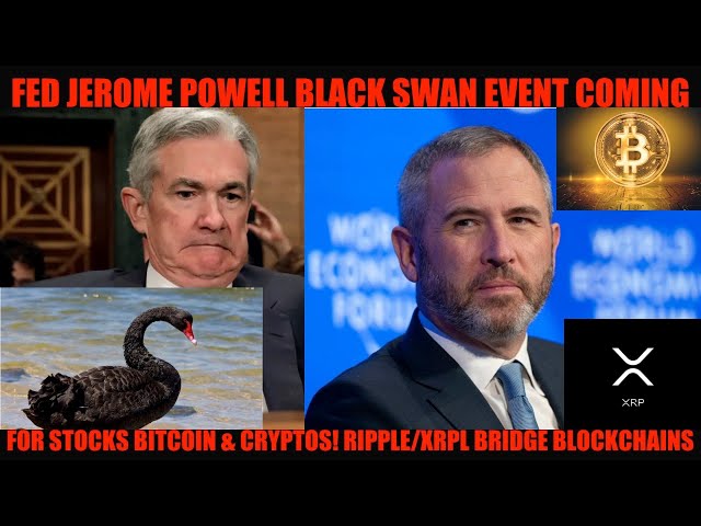 WTF! FED ADMITS BLACK SWAN EVENT COMING FOR STOCKS BITCOIN & CRYPTOS! RIPPLE/XRPL BRIDGE BLOCKCHAINS