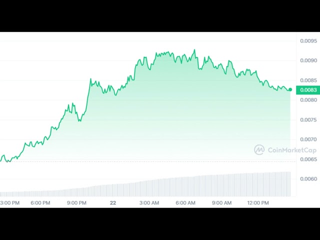 RSR-Token steigt um 30 % auf neue Preishöhen