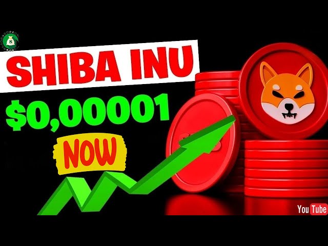 🚨NOTSTAND – SHIBA INU JETZT! Münzanalyse 2024