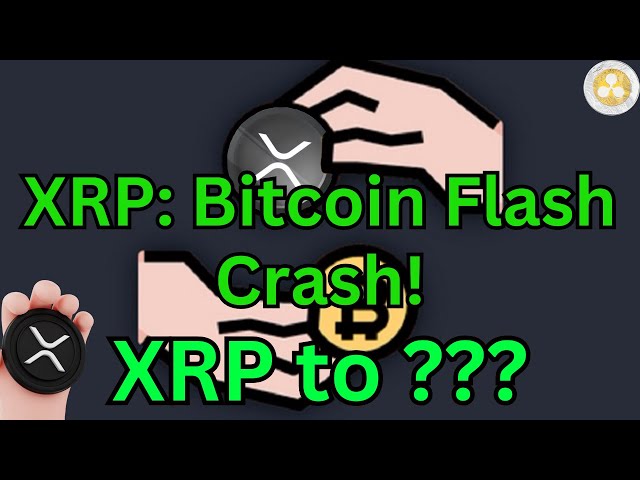 Ripple XRP 更新：比特幣龐大的閃崩解釋！另外，調整了 XRP 目標！