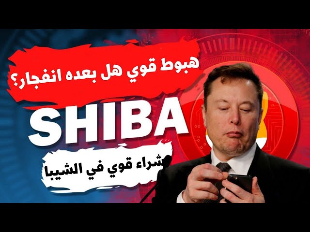 芝通貨はラストチャンス、ビットコインは危険🔥shib