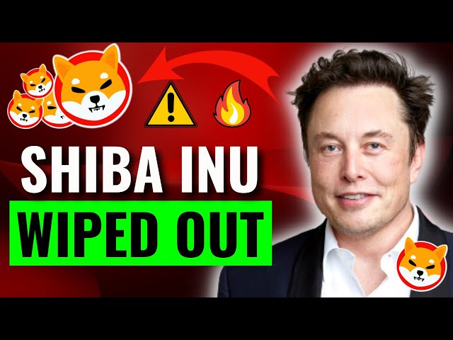 ELON MUSK: JUST DID IT! SHIBA INU: NOW SHIB IS UNDER CONTROL! (NOT A JOKES!) - SHIBA INU