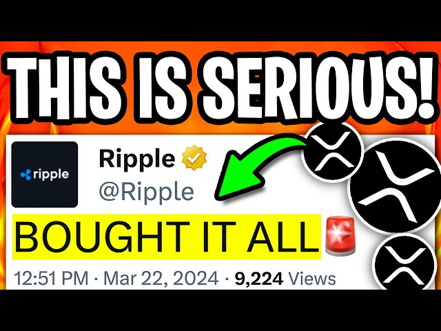 XRP CEO: *누군가*가 방금 전부 구매했습니다!!! 역사적인 순간 !!! - 오늘의 리플 XRP 뉴스