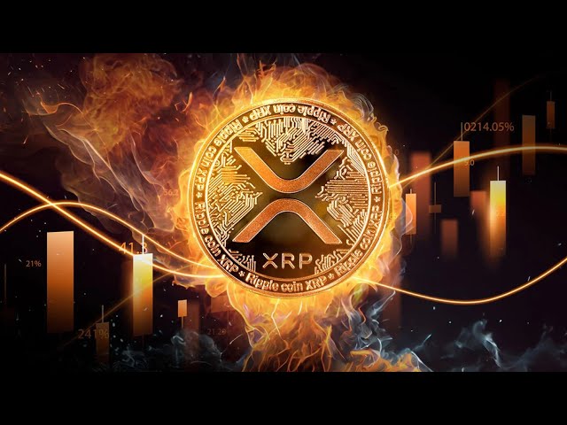 XRP 리플: 우우우우우우우우우우우우우우우우!!!!