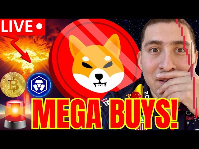 PIÈCE SHIBA INU QUE SE PASSE-T-IL !?🔴POINT DE RUPTURE CRYPTO ?