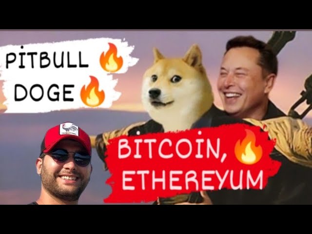 🔥ピットブルドージビットコインイーサリアムコイン #pitbullcoin #dogecoin #ethereum #bitcoin