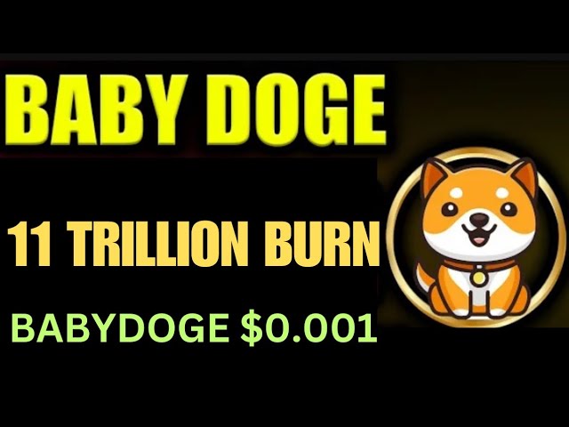 Baby Dogecoin 0,001 $ | 1 Billion Verbrennung | BabyDoge Münzpreispumpe | Binance-Auflistung