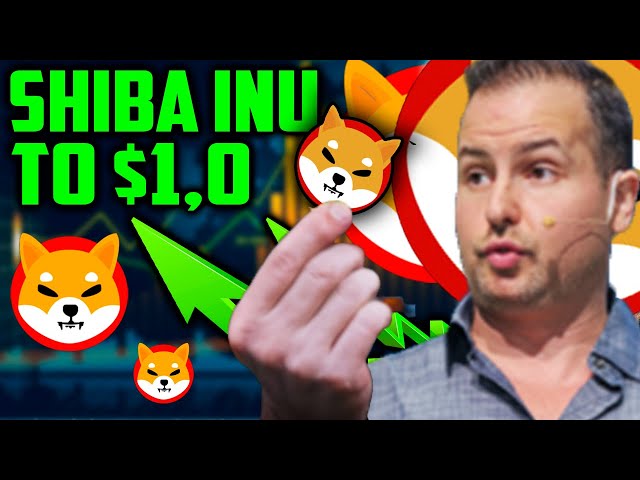 Gareth Soloway über Shiba Inu Coin