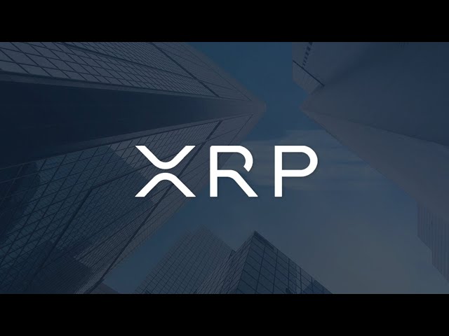 XRP 리플로 XRP 보유자를 만나보세요 !!!!!