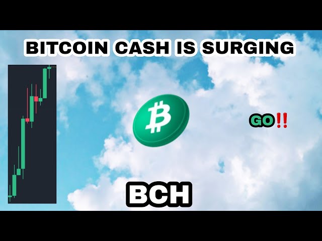 2024 年比特币现金在市场飙升‼️ BCH 币价可能会走高‼️ BCH 加密货币下一次反弹即将到来