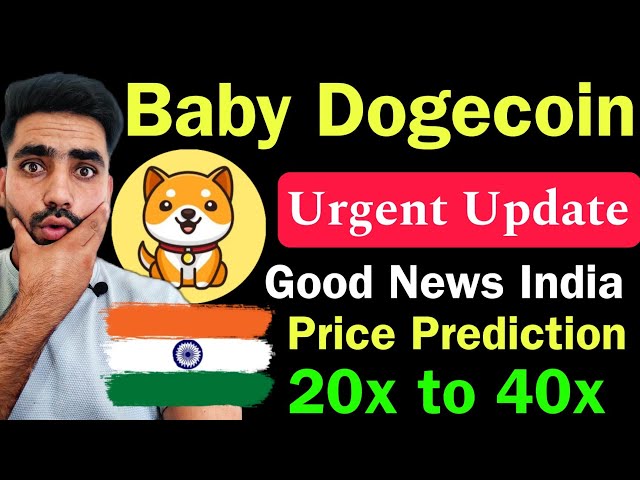 Actualités sur les pièces Baby Doge aujourd'hui 🔴 || Prédiction du prix des pièces Baby Doge || Actualités Bybit || Actualités KuCoin