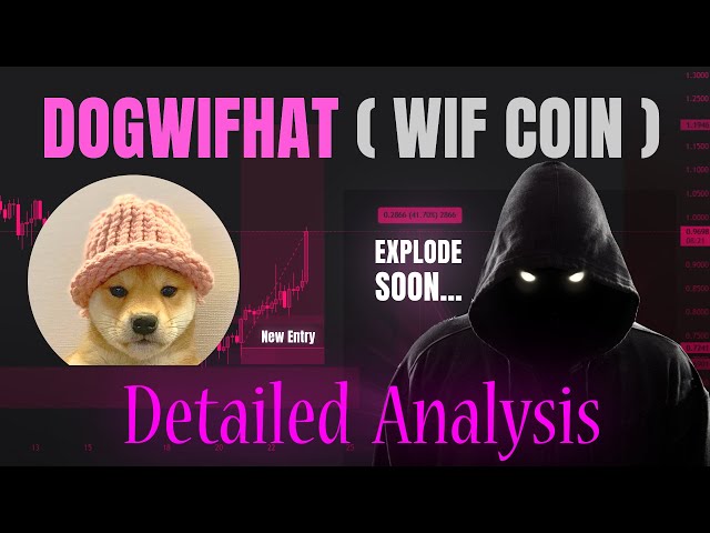 WIF-Münzpreisvorhersage | Dogwifhat-Preisvorhersage | Hundefrau | Dogwifhat-Münzenpreisvorhersage