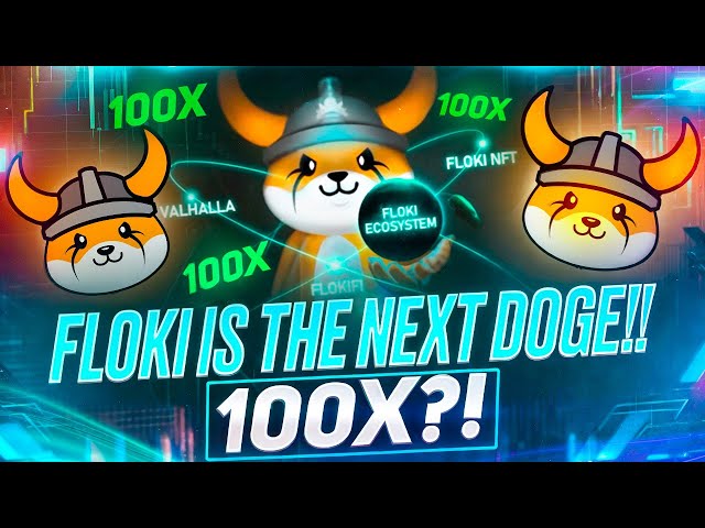 Floki wird Shiba und Doge schubsen!! 🤑 100x auf Meme Coin | Dieser BullRun erwartet uns vor uns🔥