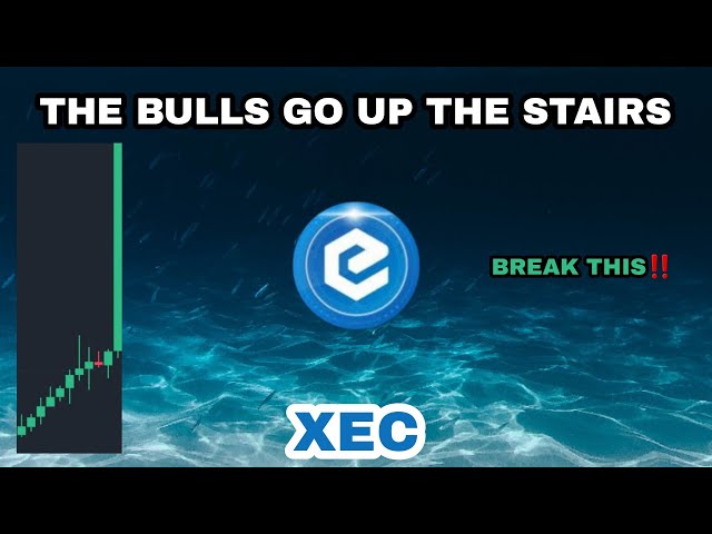 XEC COIN BULLS GEHEN DIE TREPPE IN MARET 2024 HOCH‼️ ECASH SIEHE DIESE BREAK DIESES‼️ XEC WERDEN LÄCHERLICH REICH