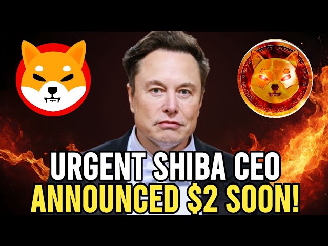 今日 SHIBA INU 硬币新闻 - 紧急！SHIBA 首席执行官宣布 SHIBA 将达到 2 美元！ - 价格预测