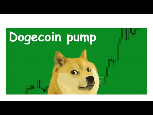 DOGE COIN PUMP .WE CATCH 24% FROM IT TILL YET