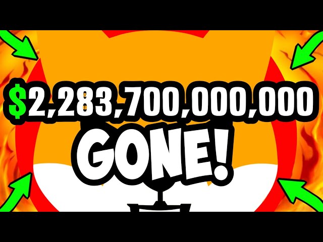 SHIBA INU: $2,283,700,000,000 GONE!!! FINAL WARNING FROM SHIB WHALES!!! SHIBA INU COIN NEWS TODAY!