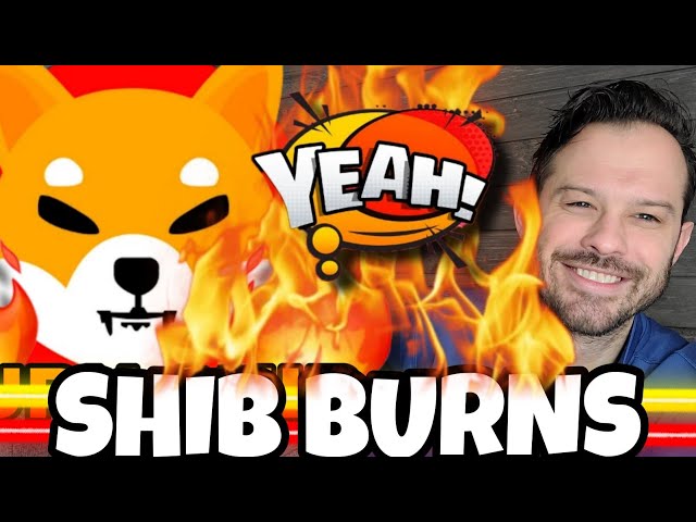 Shiba Inu Coin | SHIB Burns Are Rising Along With The Price Of SHIB!