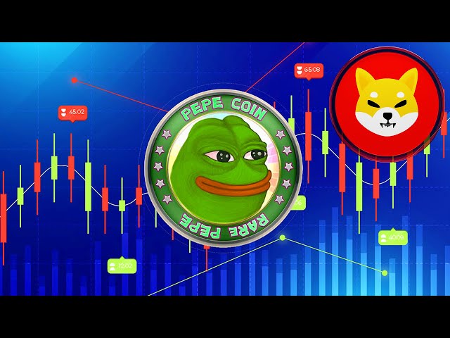 PEPE Coin (PEPE) ist der nächste SHIBA INU!