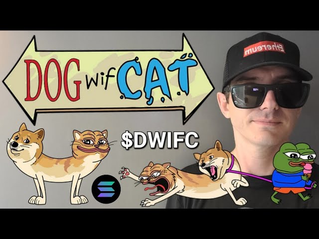 $DWIFC - DogWifCat 토큰 암호화폐 DWIFC 구매 방법 DOG WIF CAT SOL SOLANA RAYDIUM JUPITER BIRDEYE