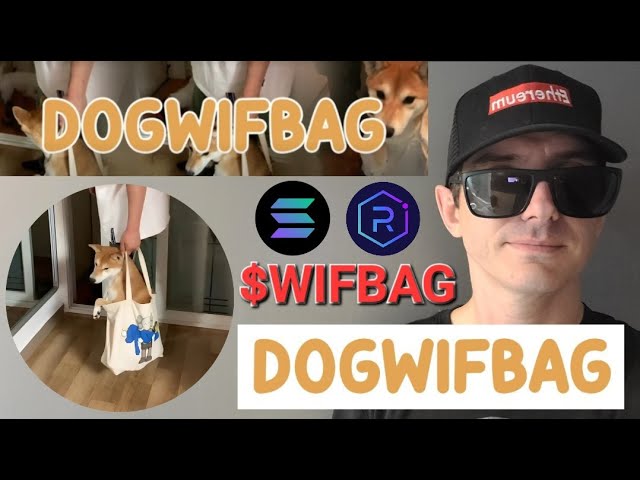 $WIFBAG - DOGWIFBAG TOKEN CRYPTO COIN HOW TO BUY DOG WIF BAG MEME SOL SOLANA WIFBAG RAYDIUM JUPITER