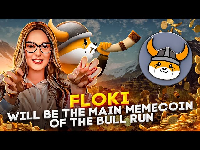 FLOKI will be the main memecoin of the bull run ! FLOKI is the next DOGE !