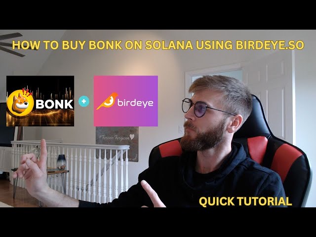 How to buy Bonk Memecoin on Solana using Birdeye.so