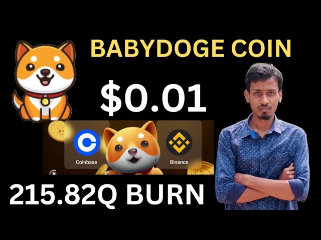 寶貝狗狗幣價格暴漲| 215.82Q 燒錄 | BabyDoge 幣價格 0.01 美元 |幣安上線