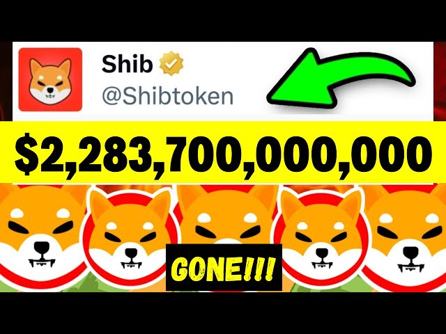 시바견: $2,283,700,000,000가 사라졌습니다! 마지막 Shib 고래 경고! 오늘의 시바견 코인 소식!