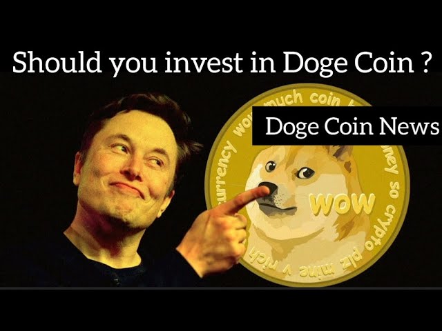 Doge Coin Investir ou pas ? Actualités Doge Coin aujourd'hui | Doge Voi