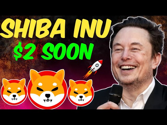 馬斯克 (Elon Musk) 和桑迪·芒羅 (Sandy Munro) 透露柴犬幣將如何很快達到 2 美元！柴犬新聞