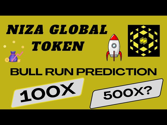 Niza Global Token 如此低的市值在这次牛市中可能会上涨 100 倍 | Niza 代币预测 2024 年