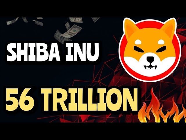 AKTUELLE NACHRICHTEN – SHIBA INU 56 Billionen