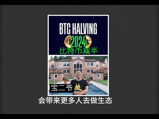 [Breaking news] Bao Erye shares Bitcoin-based thinking: In the halving market, how to find currencies that have increased more than BTC and earn more Bitcoins. Which coins can increase ten times and a hundred times? Where is