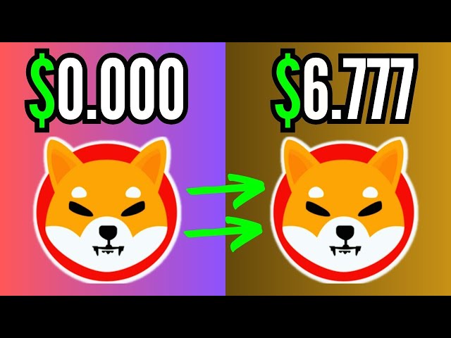 THIS SHIBA INU COIN PUMP IS TOTALY OUT OF CONTROL!! - SHIB NEWS