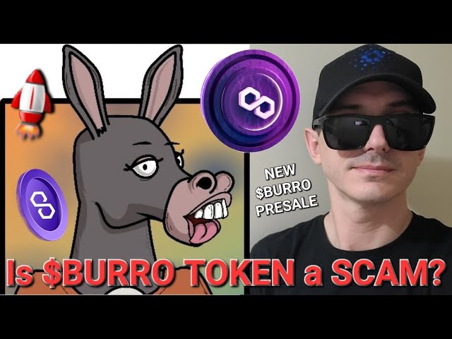 $BURRO - BURRO 토큰은 사기인가요?!? 사전 판매 ICO 암호화폐 매틱 폴리곤 새 MEME MEMECOIN 당나귀 새 상품