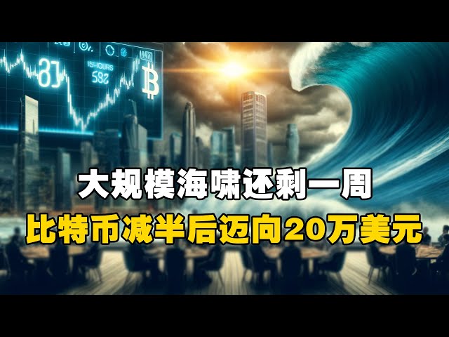 🔥距离大海啸还有一周！ 😲减半后比特币将走向20万美元？ ！ - Fred Thiel #OKXExchange #OUYi web3 钱包