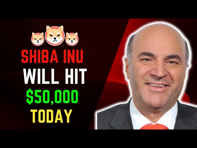 Kevin O'Leary 揭示了柴犬币的比特币替代品！很快SHIB价格就会飙升！