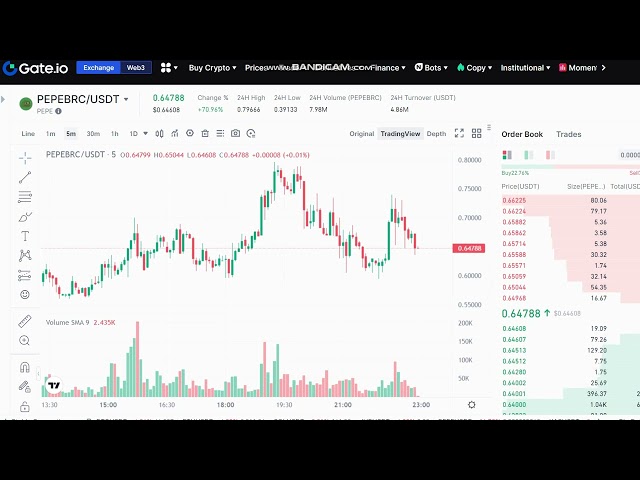 + 80 % LIVE PEPE (Ordinals) PEPE 價格預測 - LIVE PEPE NEWS -PEPE Ordinals) 價格圖表