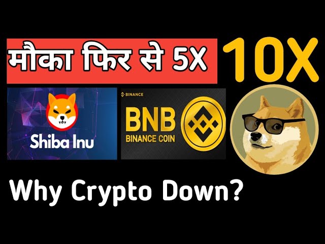 Shiba inu dernières nouvelles | Dernières nouvelles du Bnb | Pourquoi la crypto est en panne #bnb #shiba