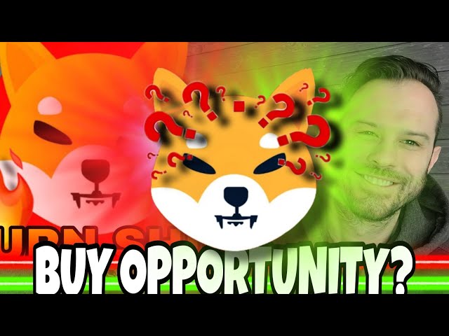 Shiba Inu Coin | SHIB Pullback a Major Opportunity Or Is There More To It?