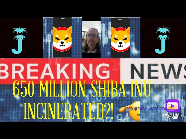 SHIBA-INU-MÜNZE | 650 MILLIONEN SHIB ZERSTÖRT | SHIB-NEWS HEUTE | SHIB-PREIS HEUTE | SHIB-BRENNKANAL