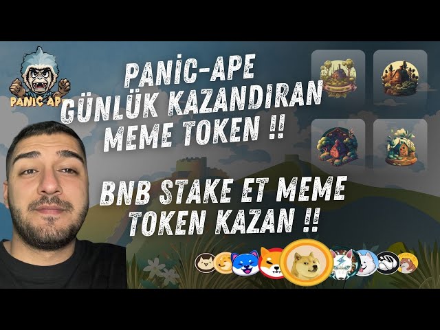 PANIC-APE 是最赚钱的模因代币！！质押 BNB 并赢得 MEME 代币！在比特币减半之前！