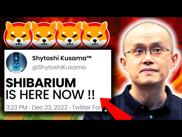 Shiba inu will go 8000x overnight to $0.80 when shibarium comes out - latest news