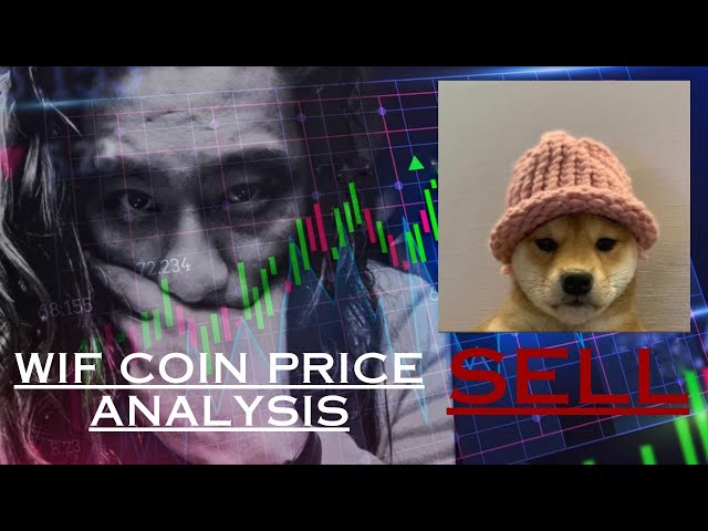 WIF Coin | DogWifCoin Price Prediction | #wifcoin #dogwifcoin