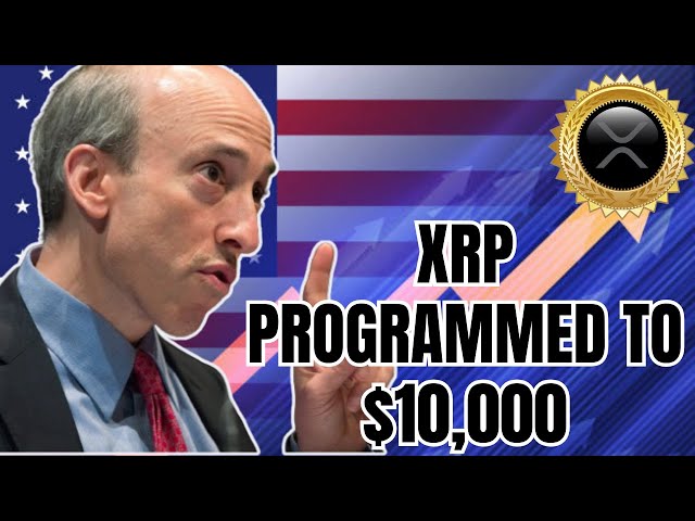 RIPPLE XRP NEWS TODAY: DAVID SCHWARTZ $10,000 NOW PROGRAMMED (AMM LEAKED PLAN!!!)